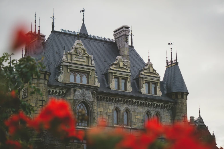 the building has chimneys and many windows on the roof