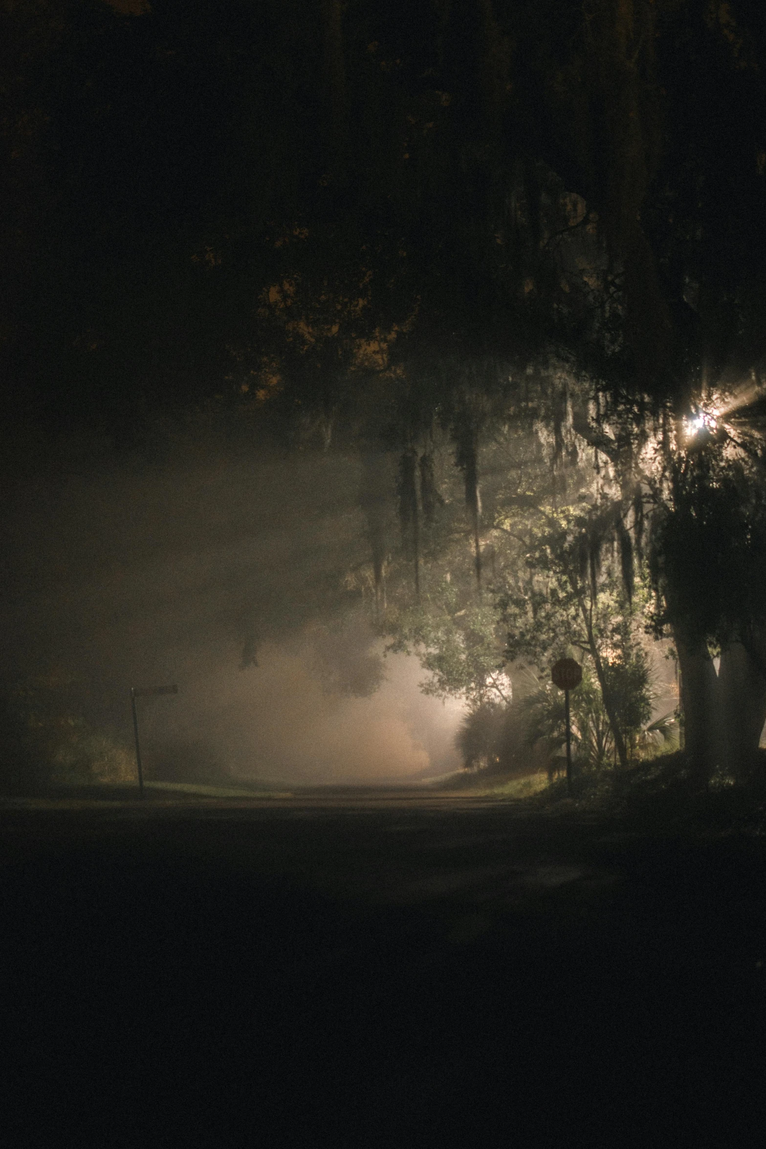 a foggy field at night with trees and street lights