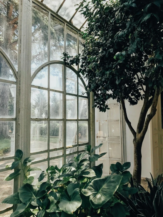 a very large window in a big building