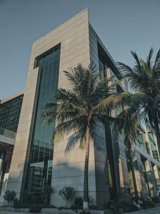 a palm tree in front of a large building