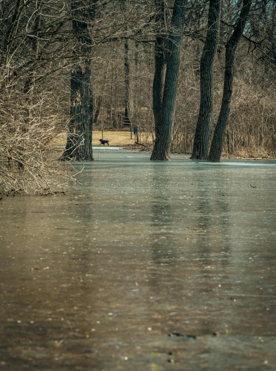 a man sitting alone along a flooded street