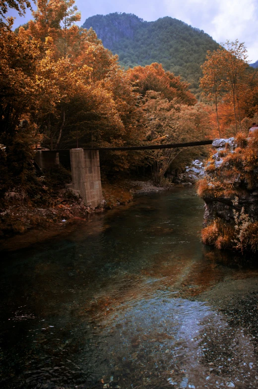 the river in the woods is clear with little water