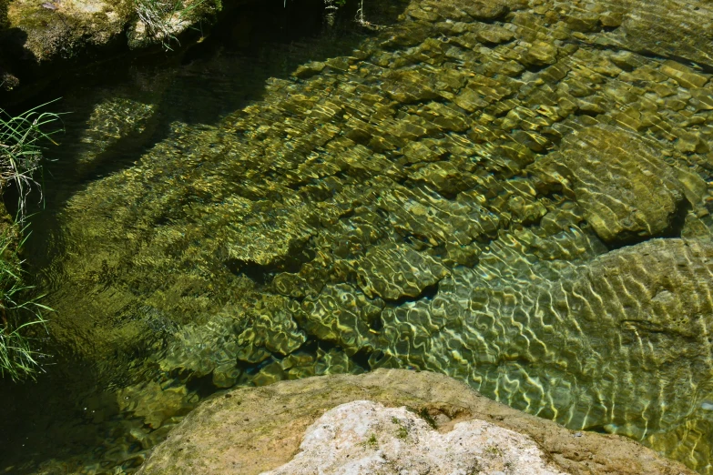 small rocks in the water and one bird is looking at