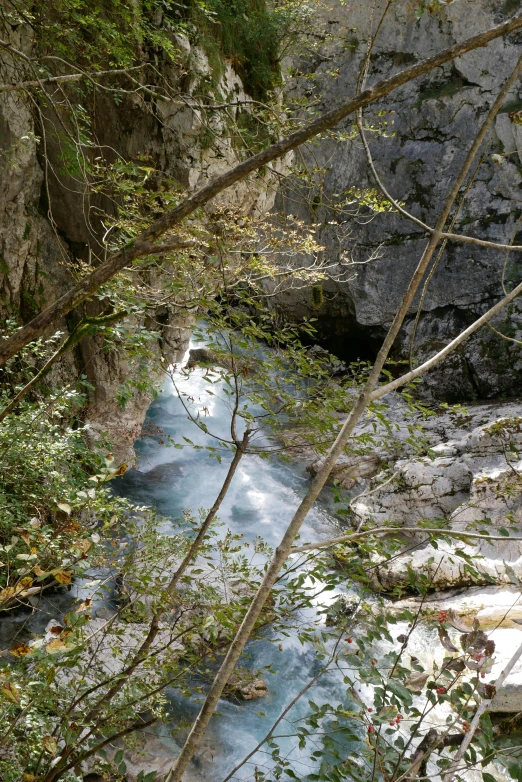 small creek running through a rocky canyon in the woods