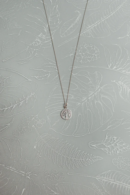 a picture of a silver pendant on a chain