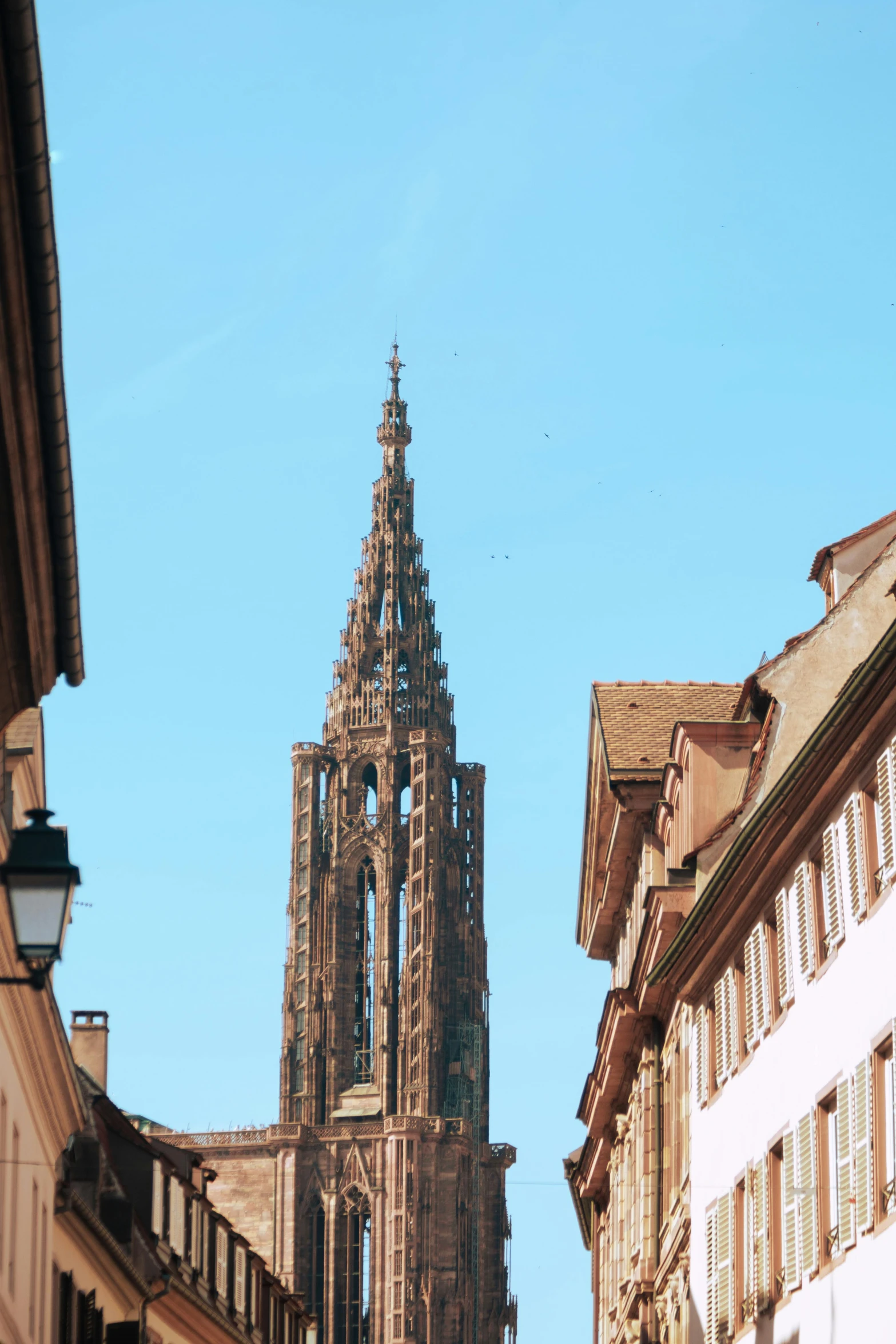 tall gothic spire towering over buildings on a sunny day