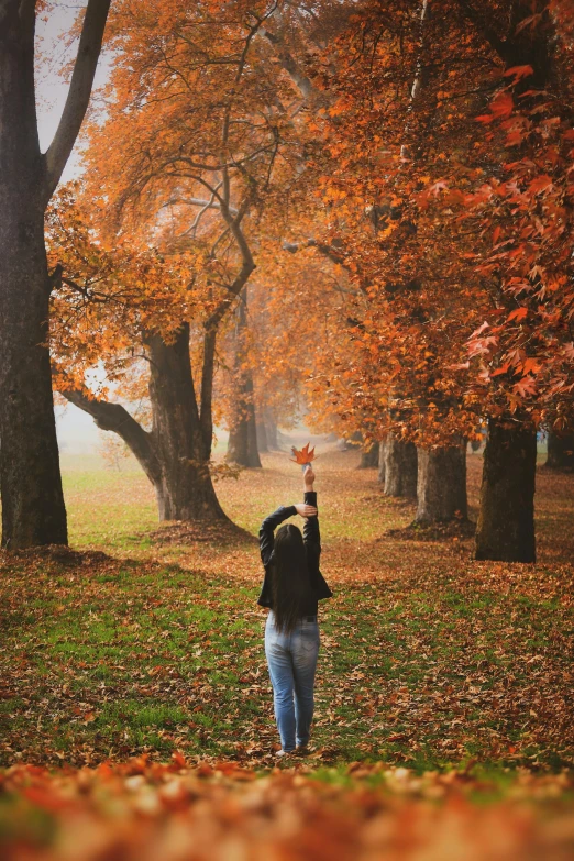 a person walking through a forest filled with autumn leaves