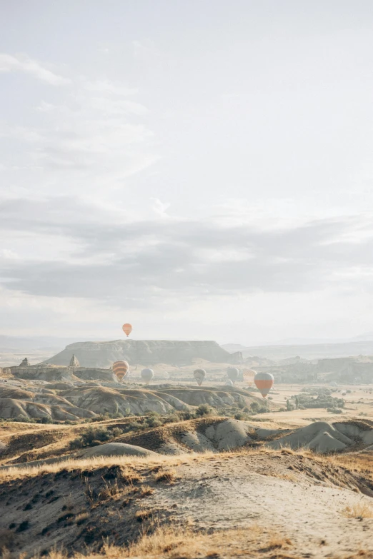 several  air balloons in the sky on the ground