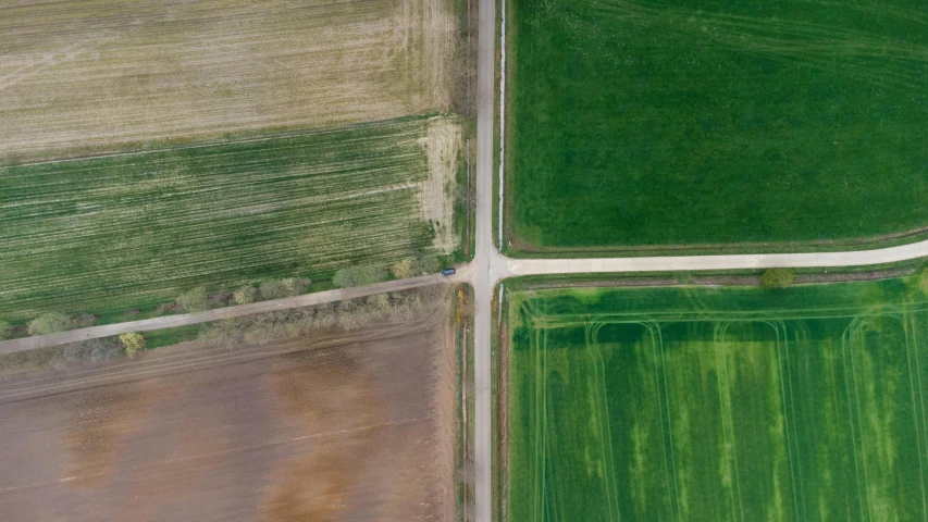 an aerial s of the view of a field of grass from above