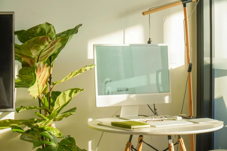 an indoor studio room with white color scheme