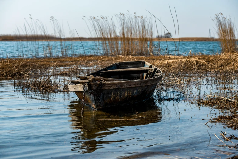 a boat sitting in the water near some grass