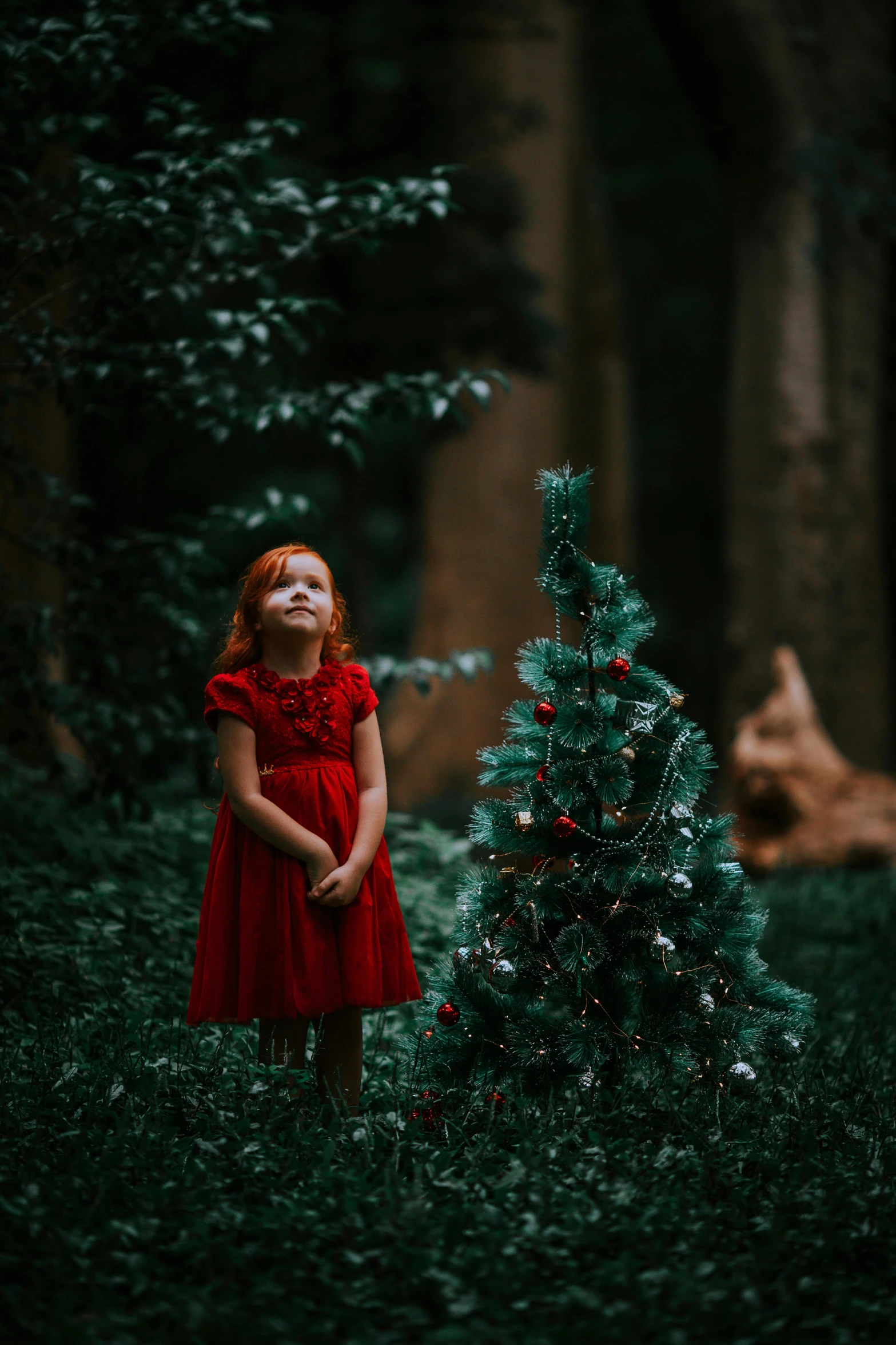 an adorable  stands next to a christmas tree