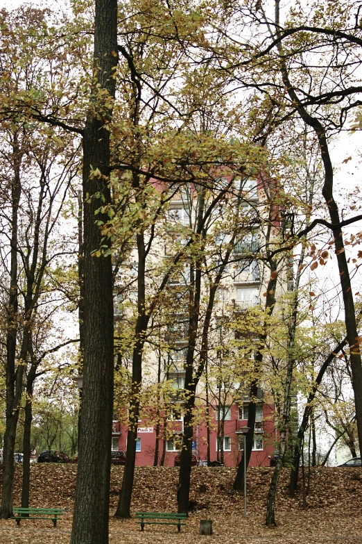 a building with red windows in a tree lined area