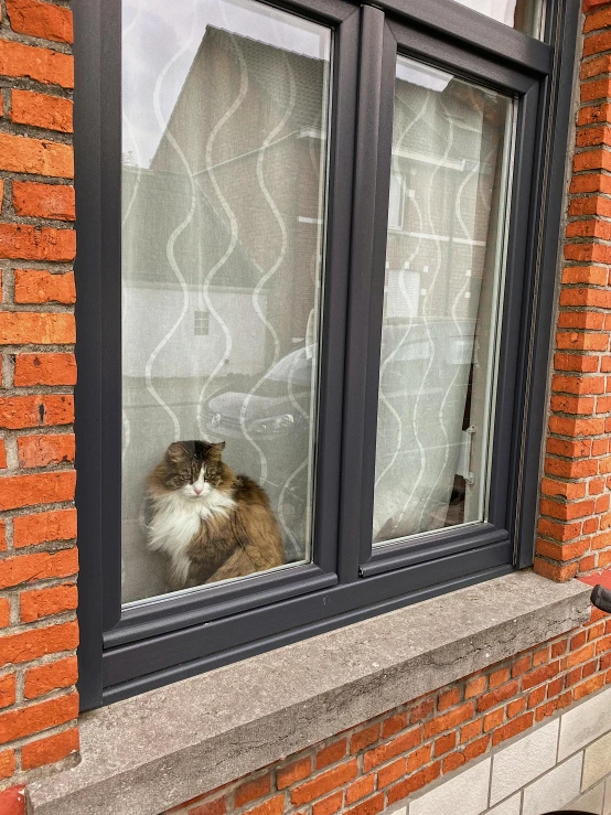 a cat looking out a window with a brick facade