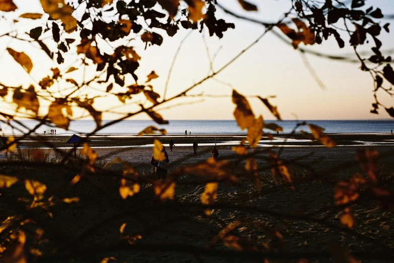 a sunset view looking across an empty beach