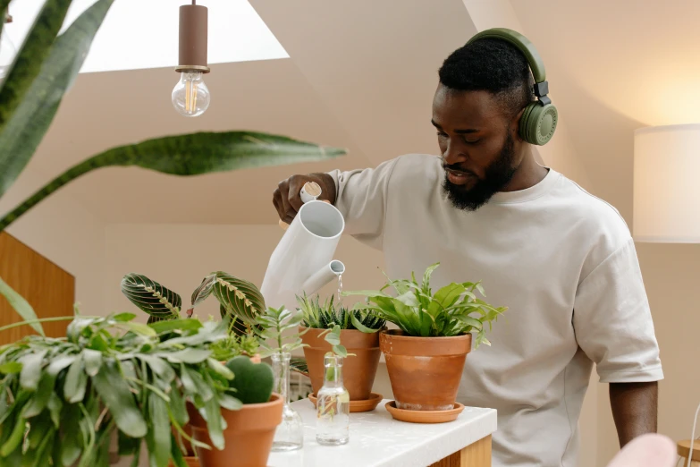 man in ear - muffs watering plants with water