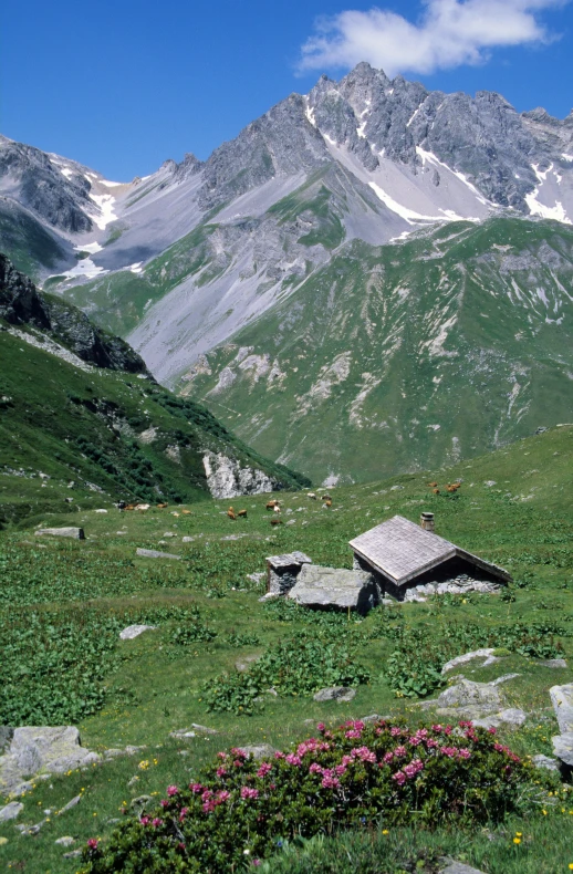 a hut in the mountains on an alpine meadow