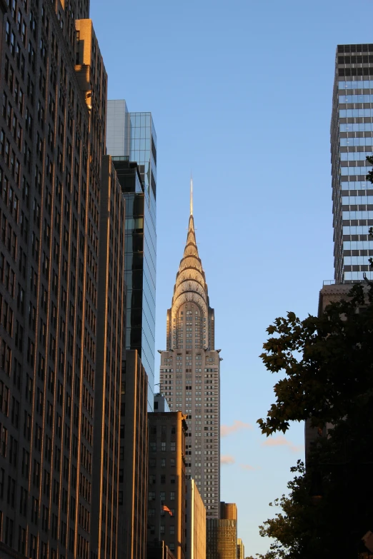 skyscrs with a clear blue sky in the background