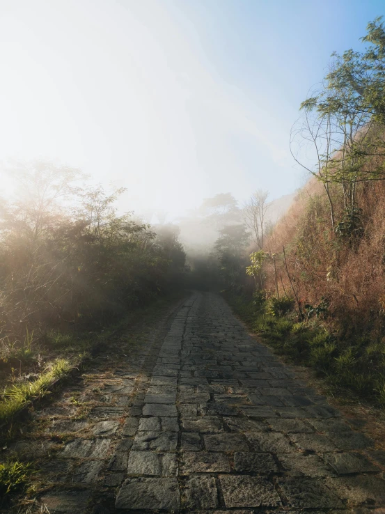 an image of sunbeams in the fog on a brick road