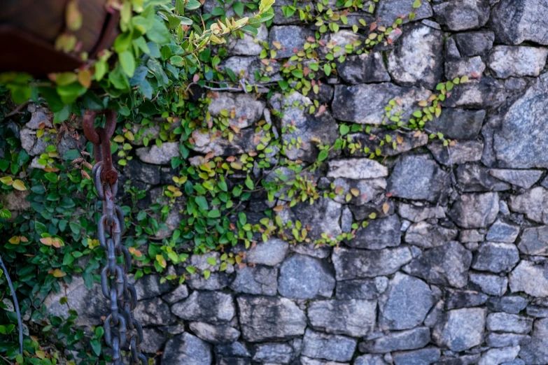 an outdoor patio with a fire hydrant and a stone wall with vines growing over it