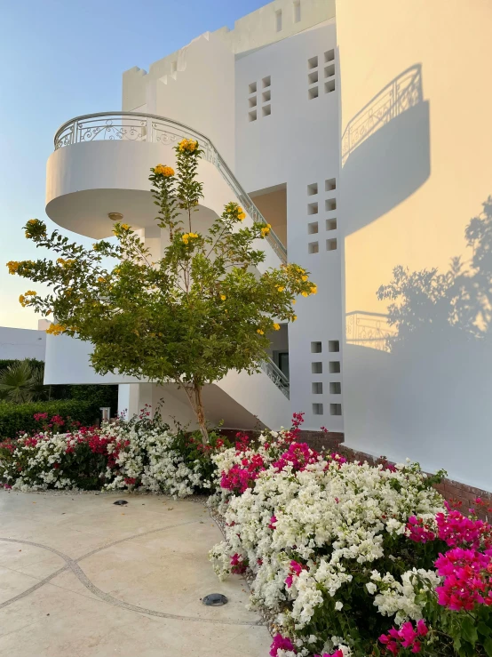 a plant filled with yellow and white flowers next to some stairs