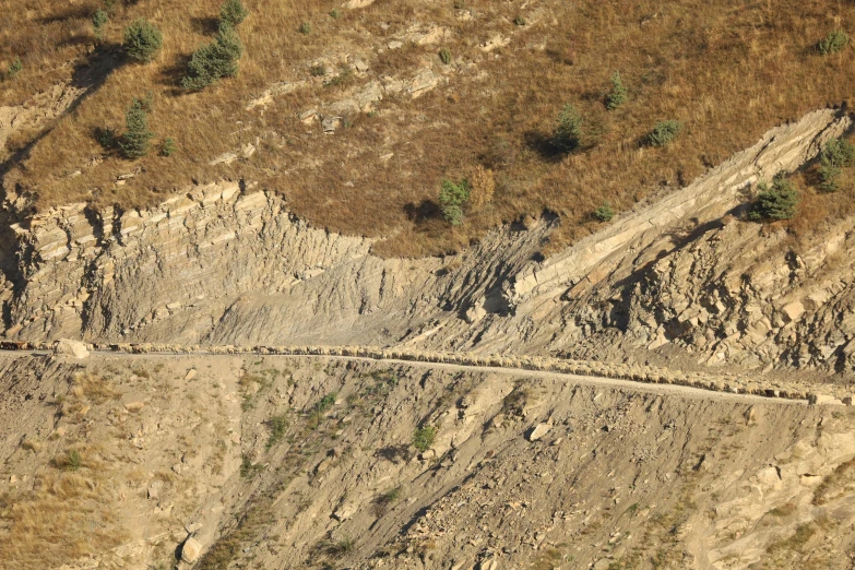 the dirt is rocky and brown and there are trees in the area