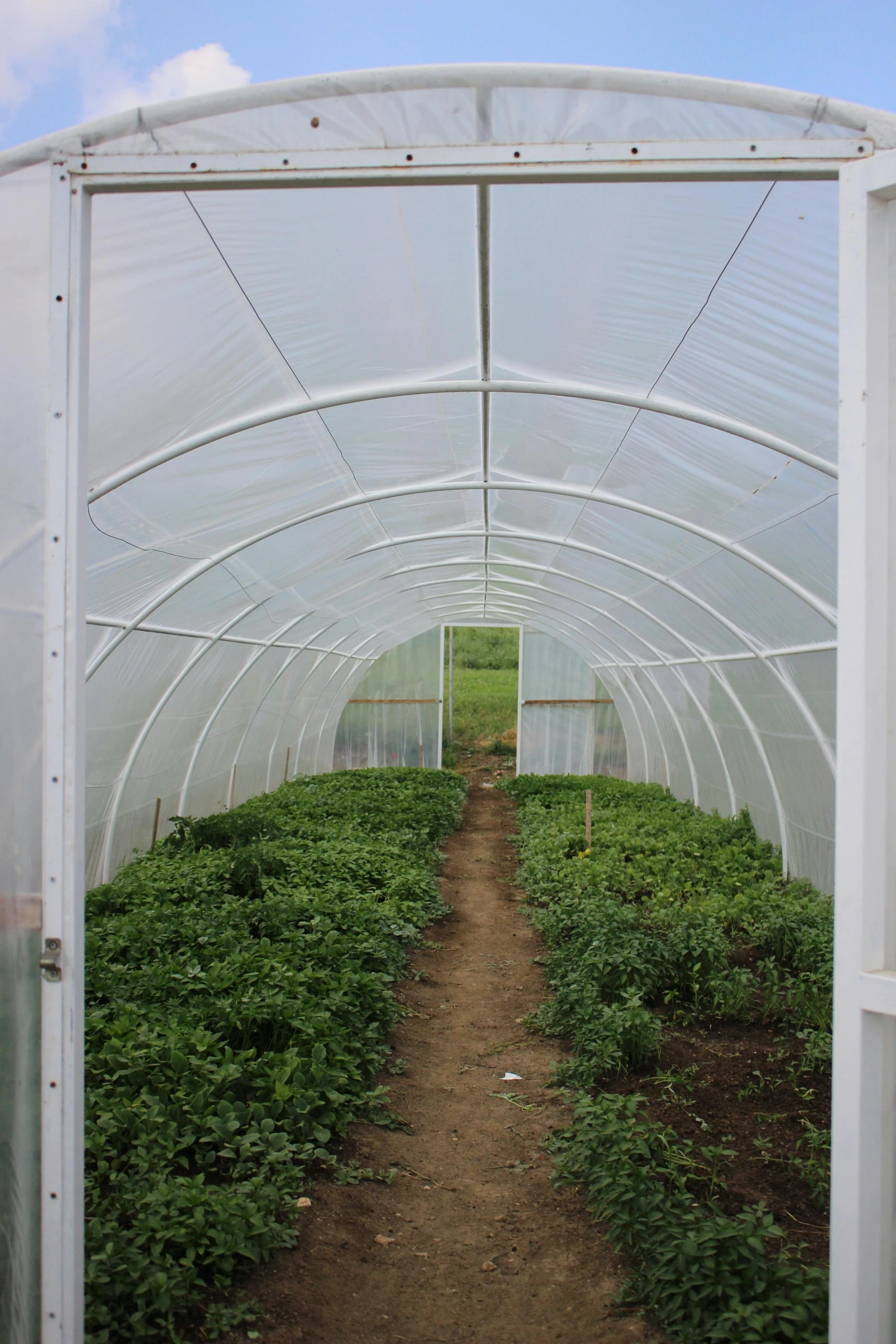 a path that is inside of a clear tent