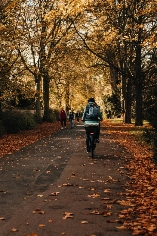 a person riding their motorcycle down a path