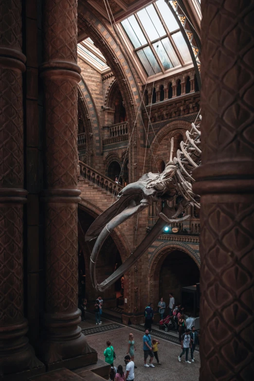 a large building with a dinosaur skeleton hanging from the ceiling