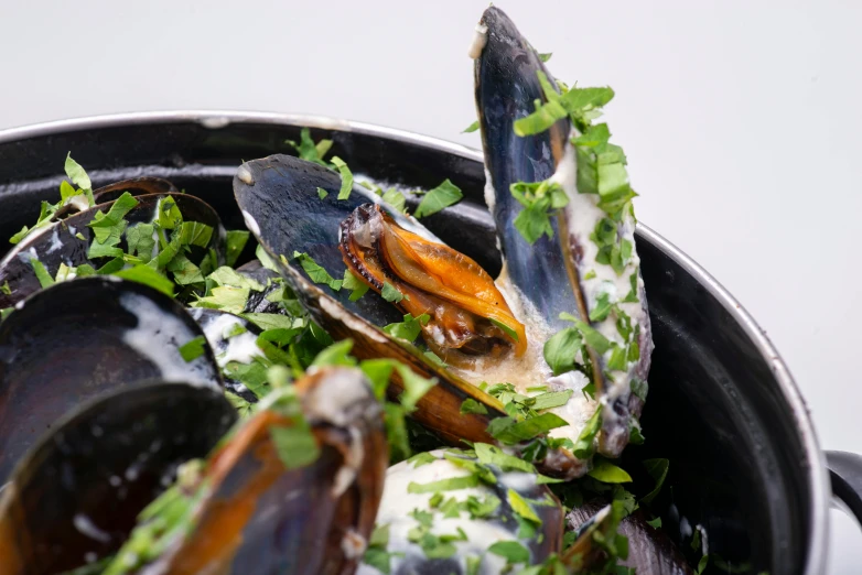 some mussels are sitting on a pan with broccoli