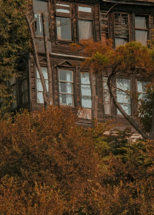 an old building with wood framed windows and tall trees