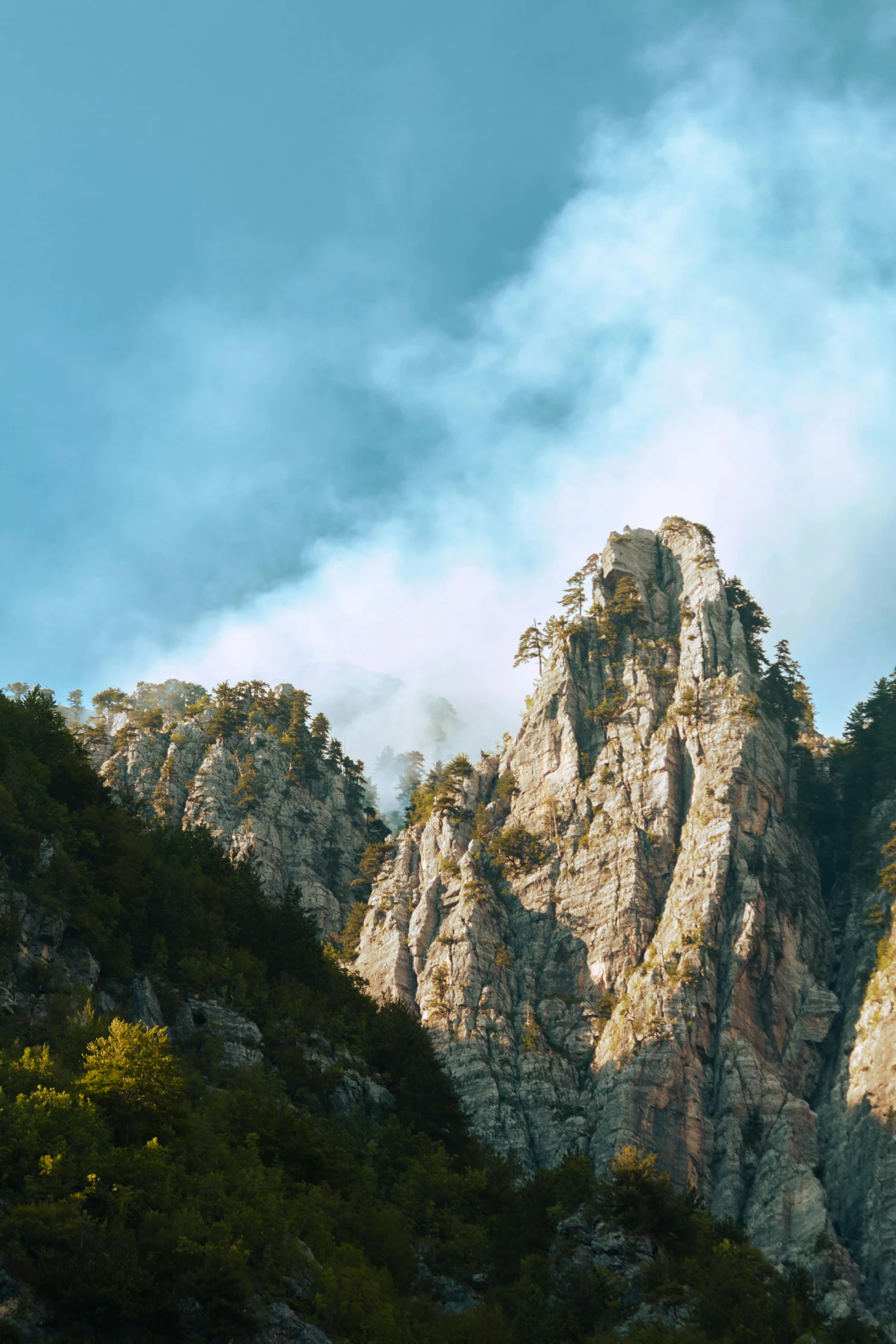 there are some very rocky mountains with trees below