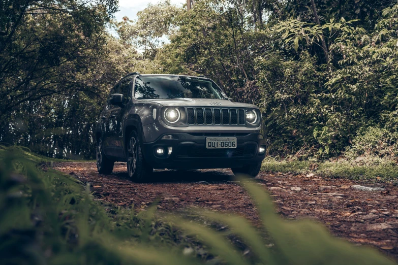 a black jeep on a wooded dirt road