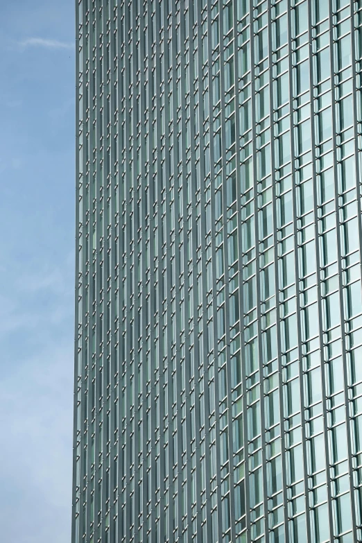 a very tall building with many windows and birds flying by