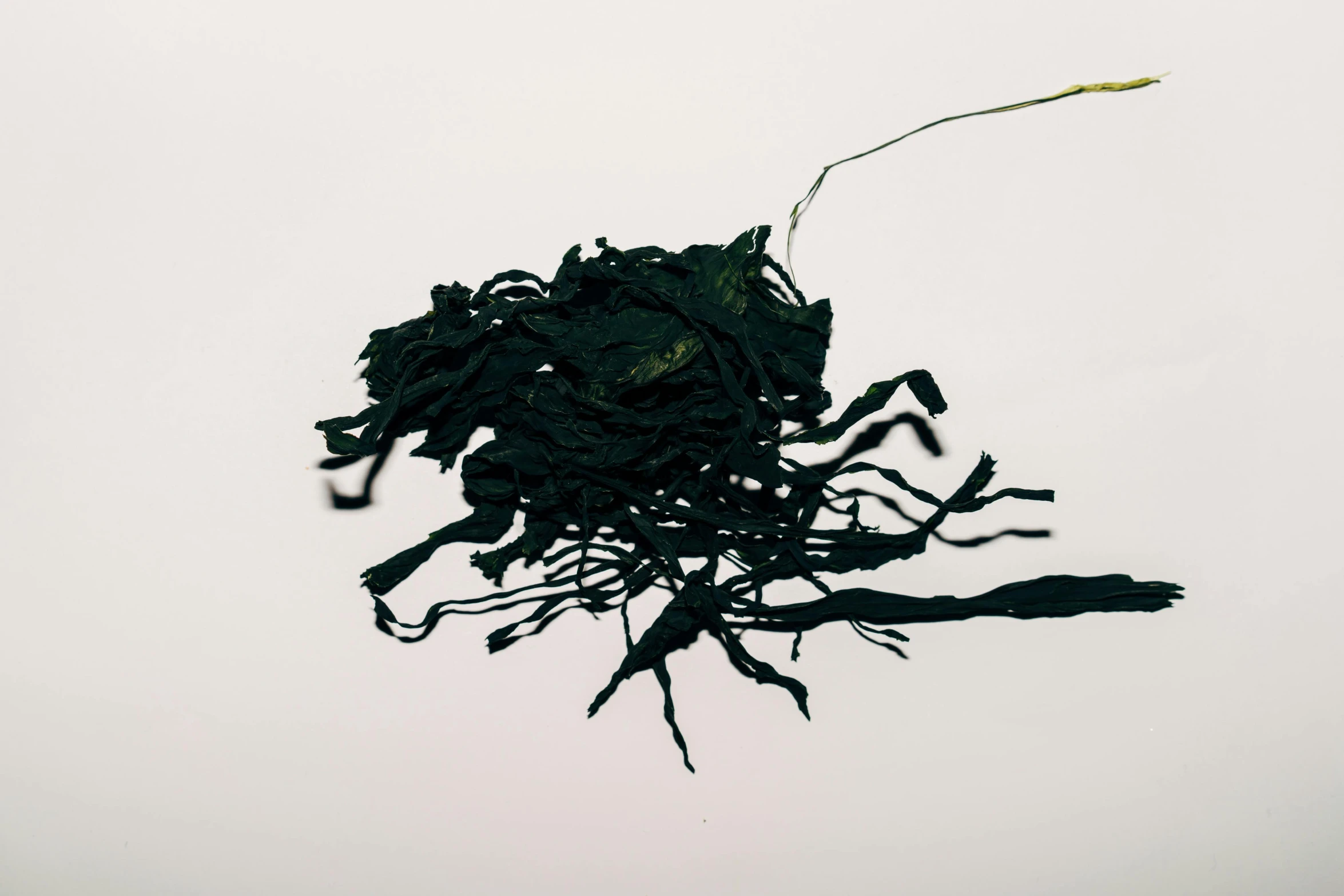 an image of a pile of black stuff against a sky background