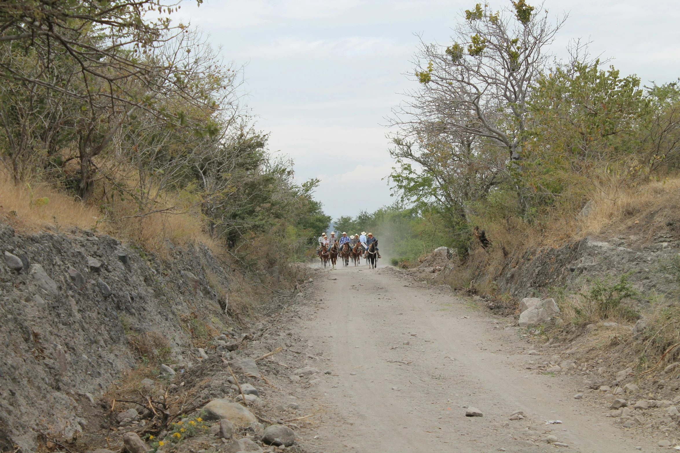 a group of people riding horses down a dirt road