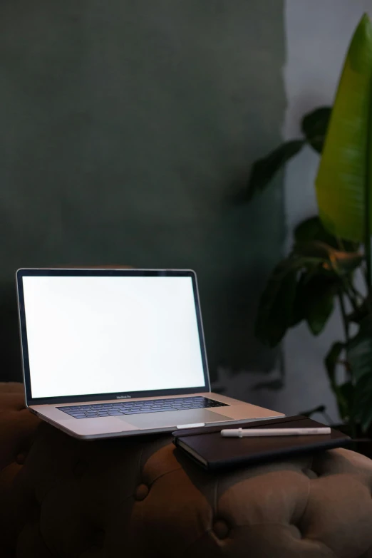 a laptop sits atop an orange chair with a green plant in the background