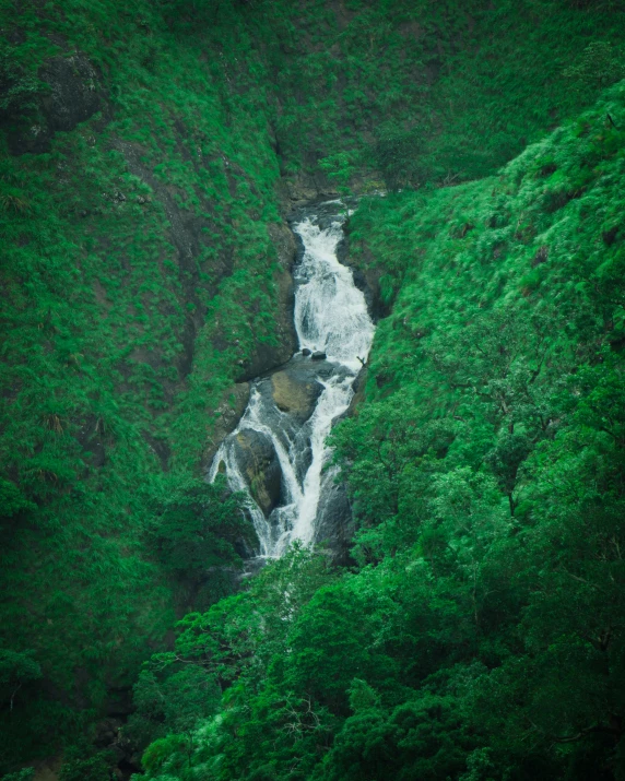 a stream is flowing down into a green forested area