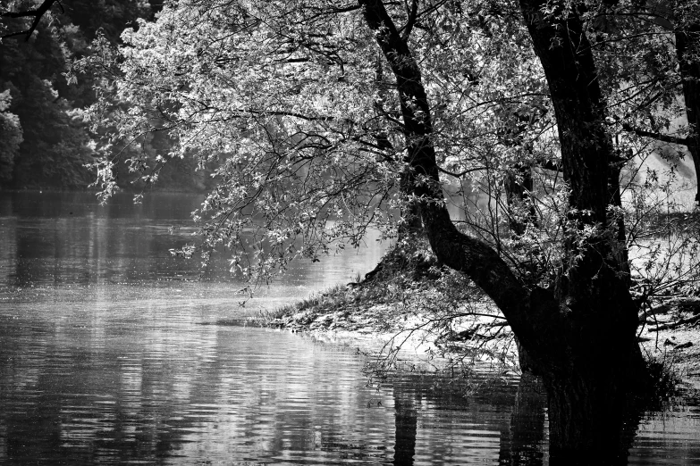 a person standing next to a river with an umbrella in their hand