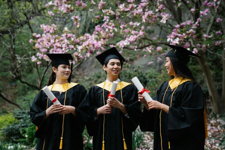 three graduates in cap and gown hold diplomas under a cherry tree