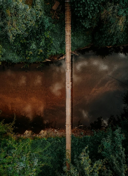 a brown wall between two green bushes and one tree line