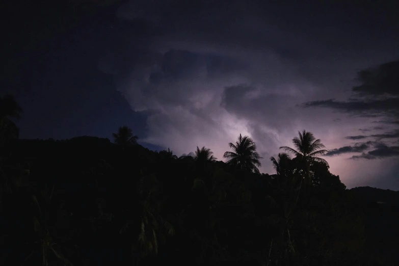 the bright orange lightning strikes behind trees