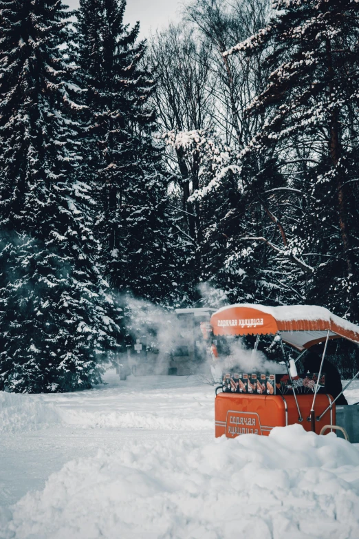 a red bus driving through a snow covered forest