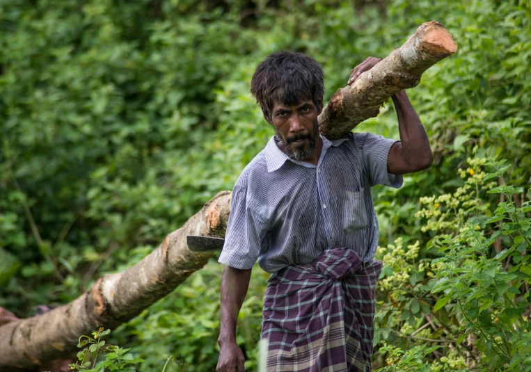 a man carrying logs across the woods
