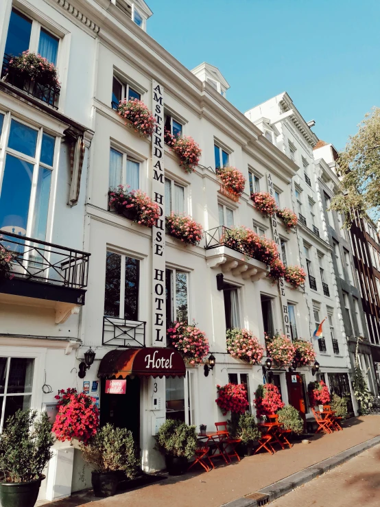 a building with potted plants in the front