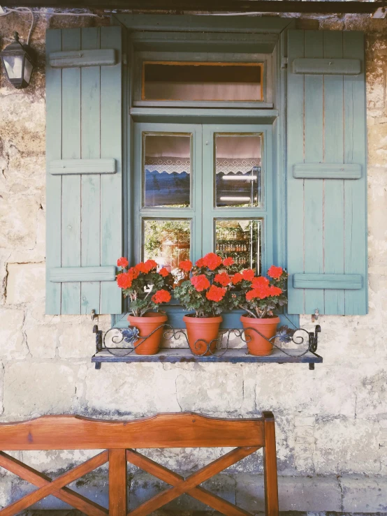 flowers and plants are seen in their respective pot on the outside window sill