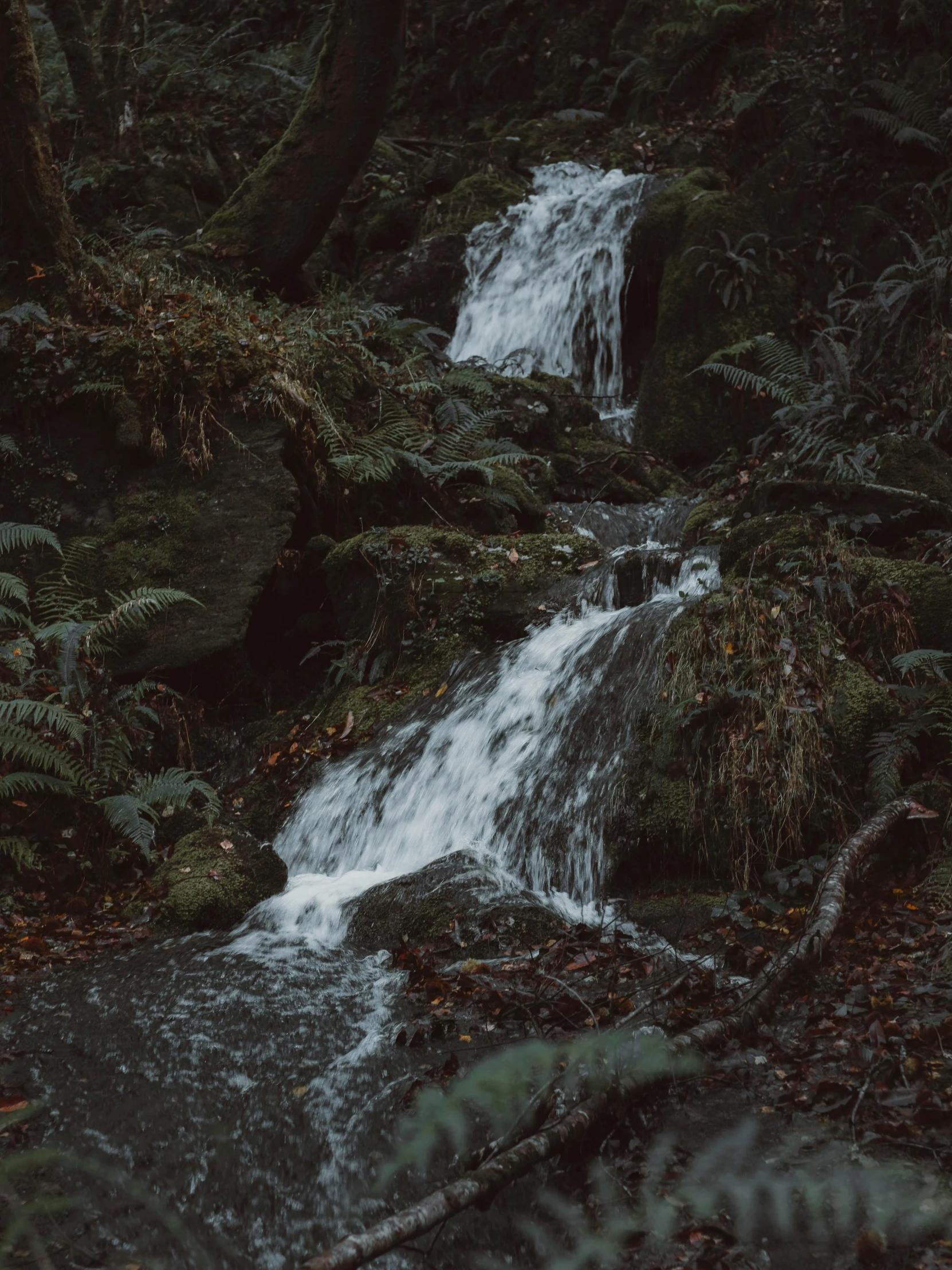 water cascading over rocks with trees around it