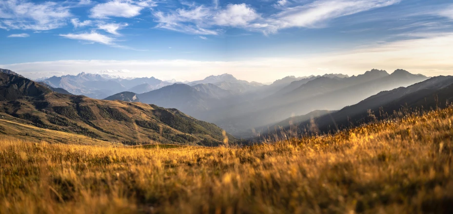 an image of a grassy hillside with mountains in the background