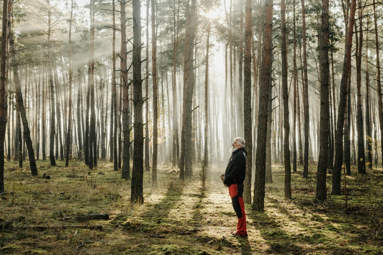 a man walking down the path through a forrest