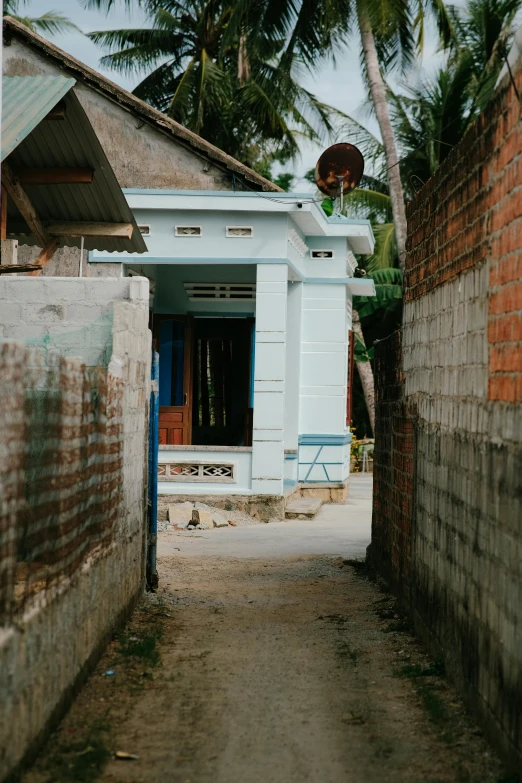 a dirt path leading to a building next to a palm tree